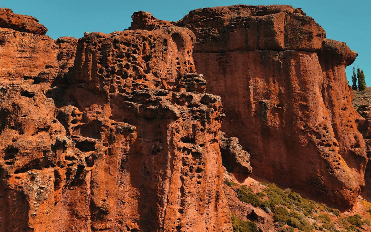 Servicio para particulares